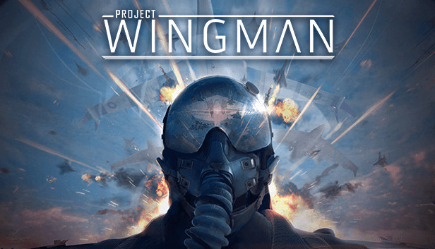 Картинка Project Wingman